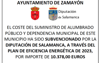 Plan de Eficiencia Energética 2023. Subvención para el alumbrado público y dependencia municipal